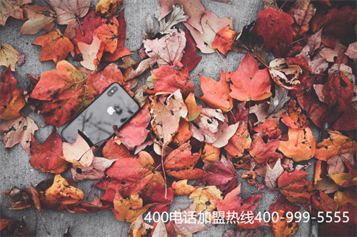 (400電話辦理一個(gè)多少錢)(400電話辦理)