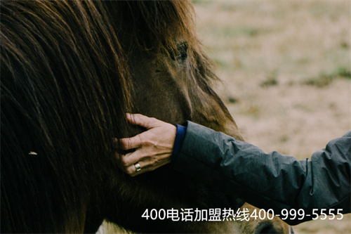 (400電話語(yǔ)音導(dǎo)航范本)(400電話彩鈴設(shè)置)