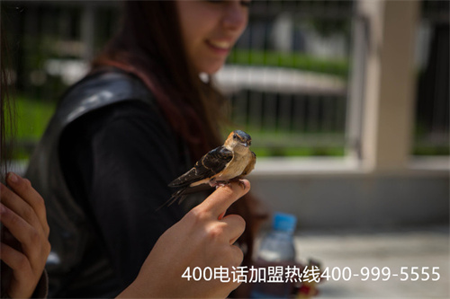 (400電話申請(qǐng)服務(wù)商選什么)(400電話續(xù)費(fèi)可換代理嗎)